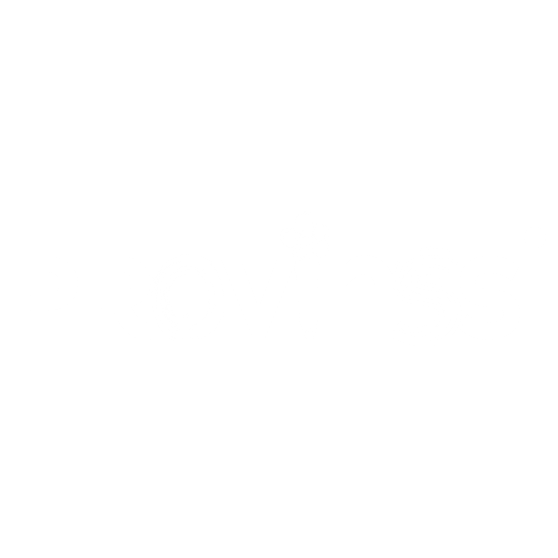 Provinssi