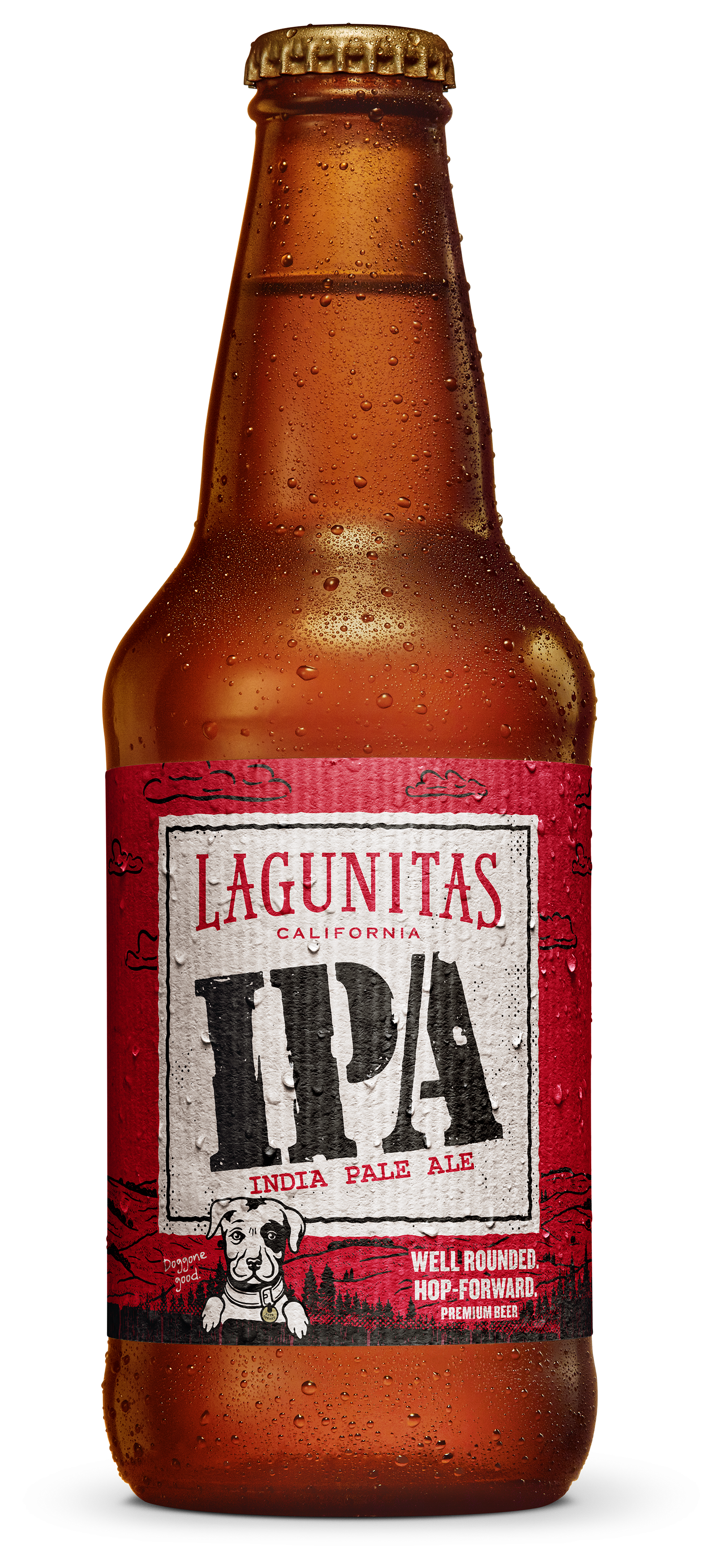 Lagunitas IPA