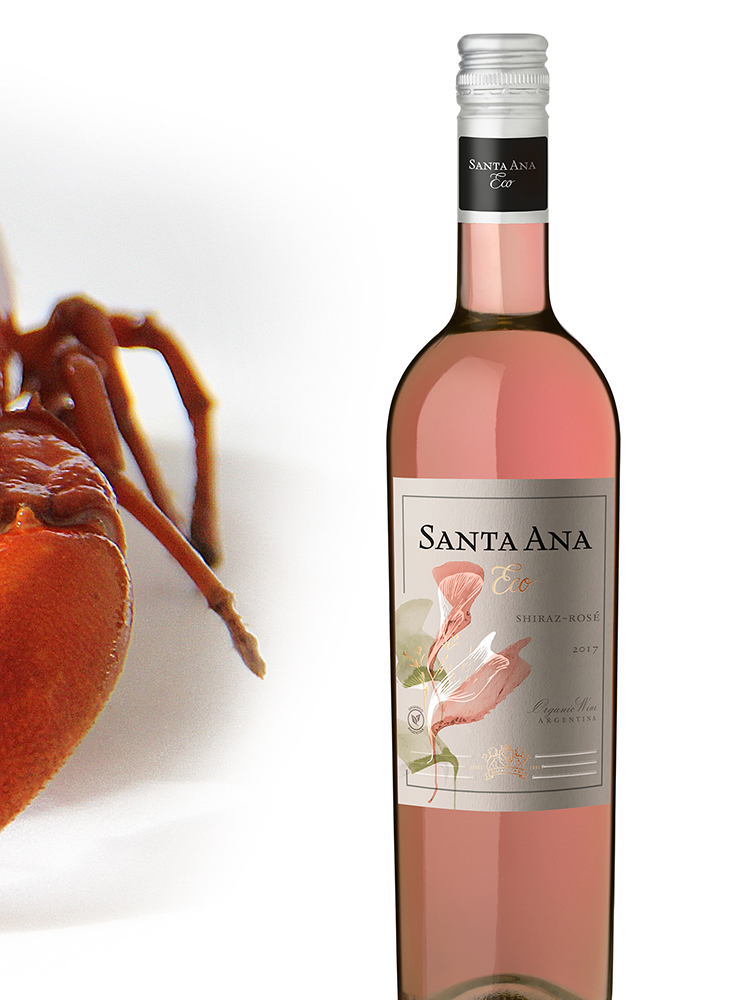 3 santa ana rose web.png